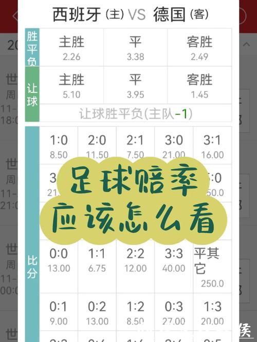 世界杯竞猜赔率解析：读懂赔率玄机